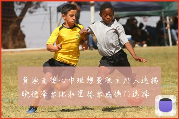 费迪南德心中理想曼联主帅人选揭晓德泽尔比和图赫尔成热门选择