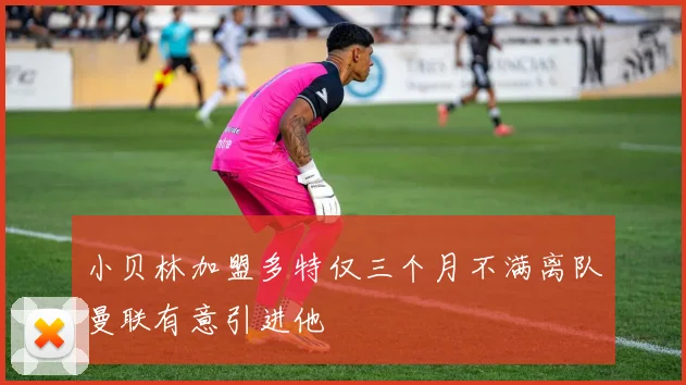 小贝林加盟多特仅三个月不满离队曼联有意引进他